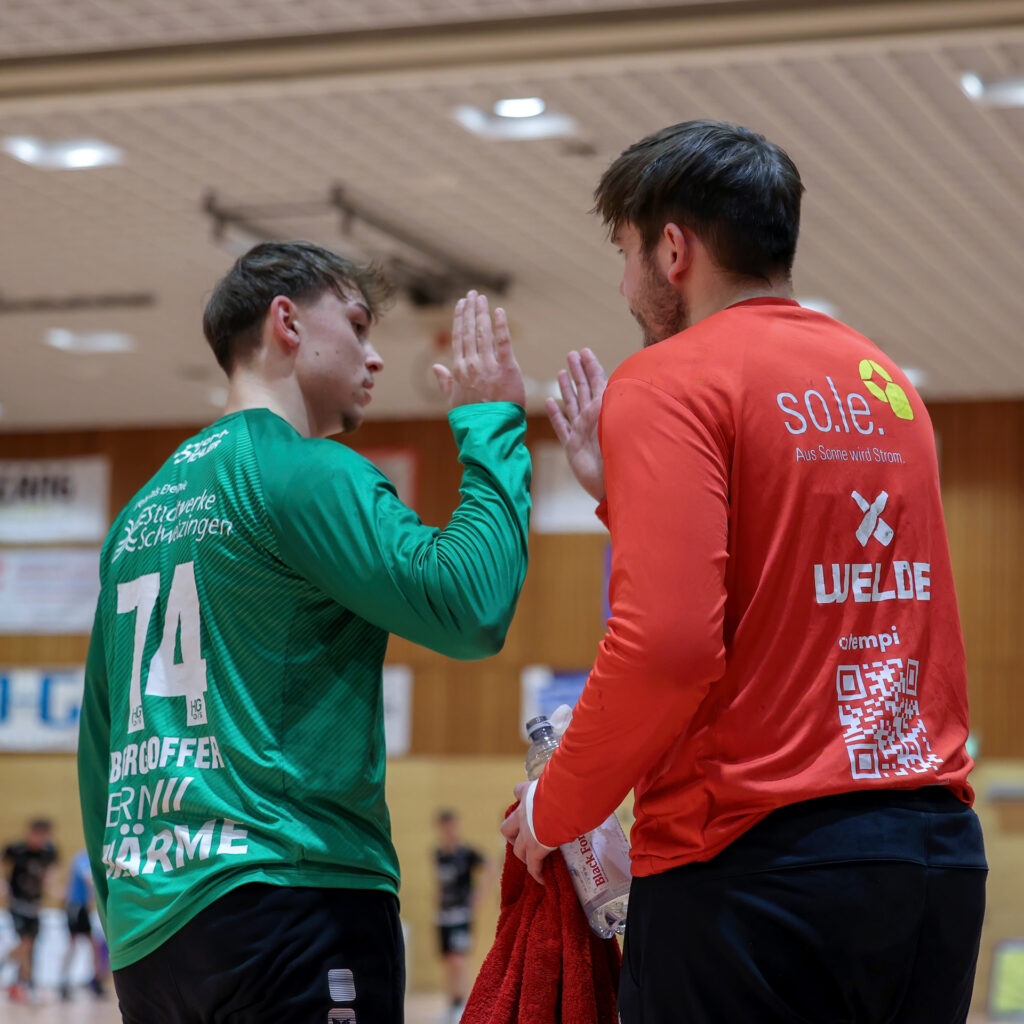 hg-beendet-die-w-lfe-serie-hg-oftersheim-schwetzingen